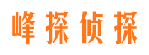 甘德市场调查